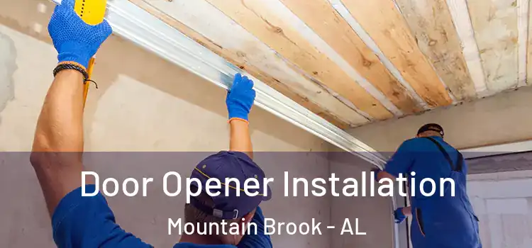  Door Opener Installation Mountain Brook - AL