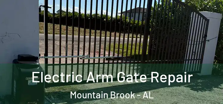 Electric Arm Gate Repair Mountain Brook - AL