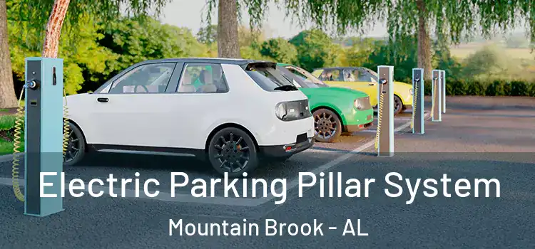  Electric Parking Pillar System Mountain Brook - AL