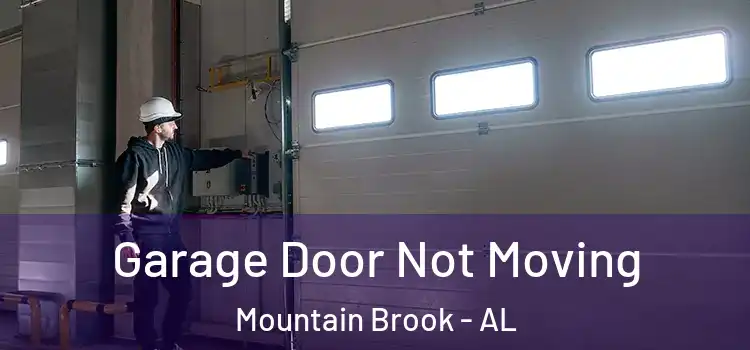  Garage Door Not Moving Mountain Brook - AL