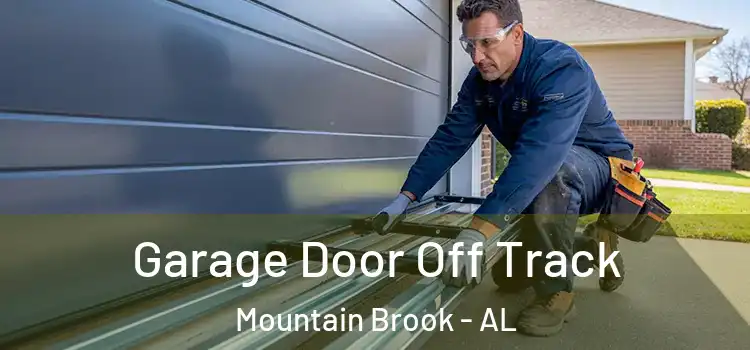  Garage Door Off Track Mountain Brook - AL