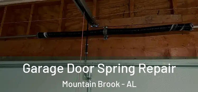  Garage Door Spring Repair Mountain Brook - AL