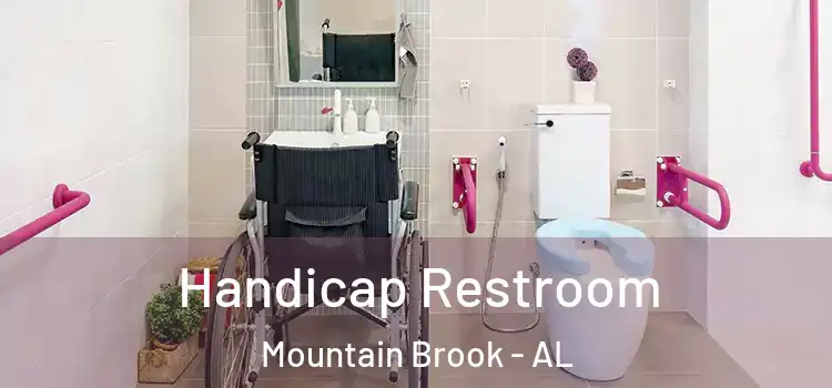  Handicap Restroom Mountain Brook - AL