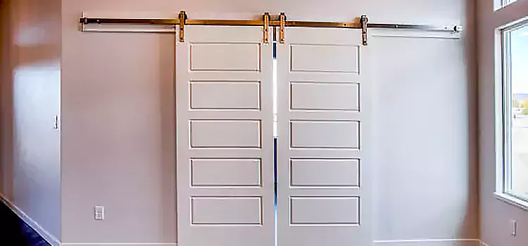 Glass Barn Door with Installation Hardware Kit Mountain Brook