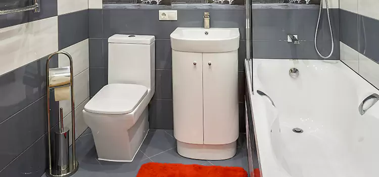 Hansgrohe Shaving Mirror Mountain Brook
