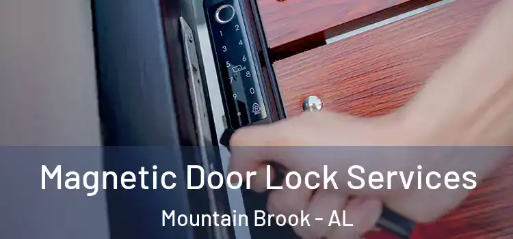Magnetic Door Lock Services Mountain Brook - AL