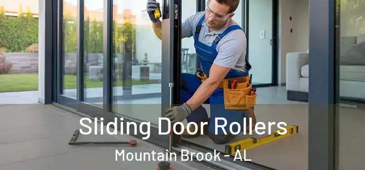 Sliding Door Rollers Mountain Brook - AL